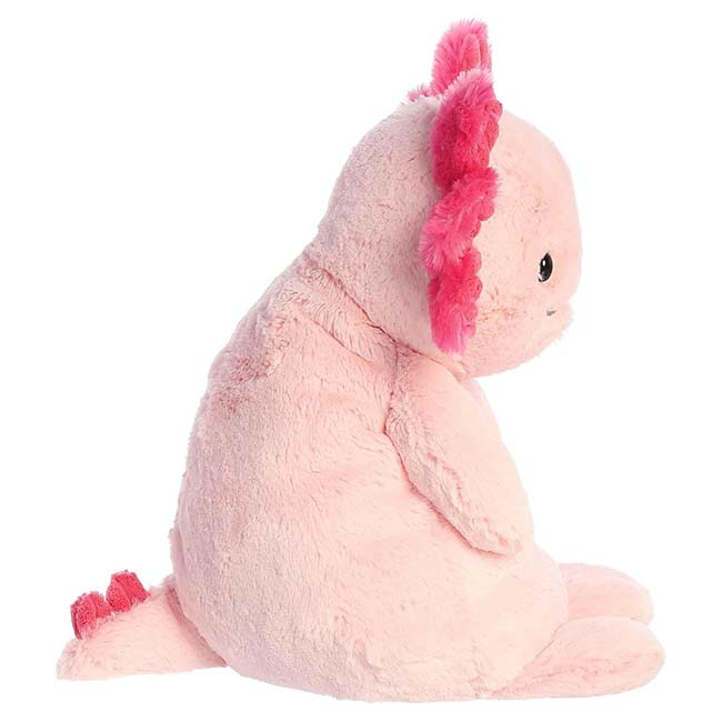 25 13 Assuring Axolotl249