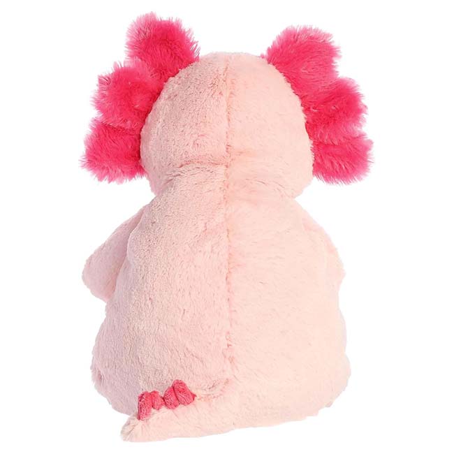 25 13 Assuring Axolotl249