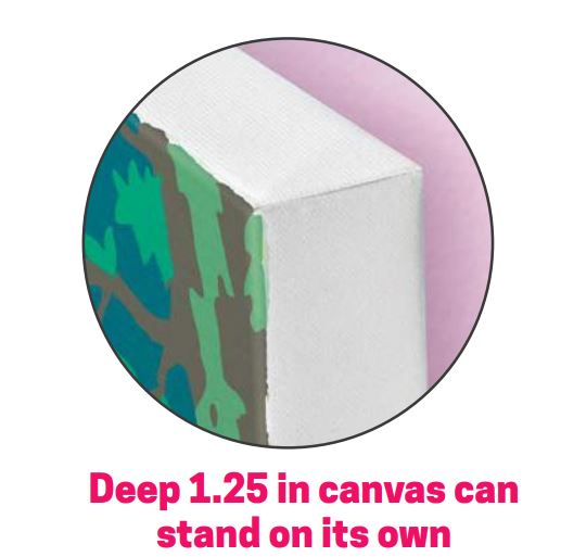 25 Butterflies Pbn    229