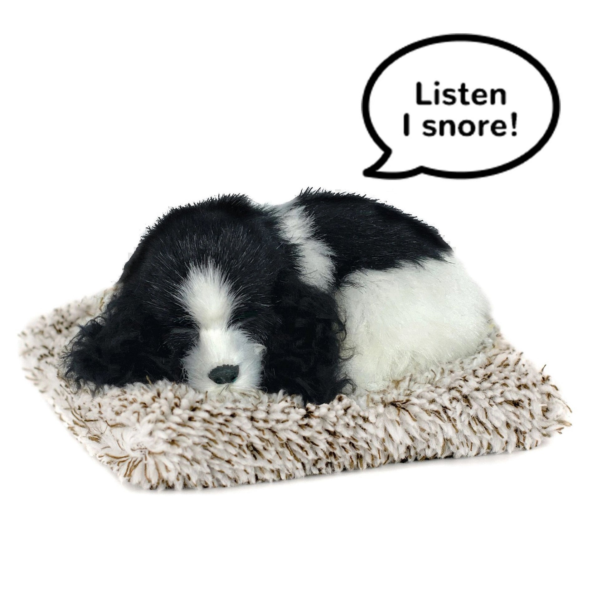 25 M Cocker Spaniel   227