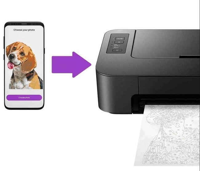 25 Paint You Photo Pet247