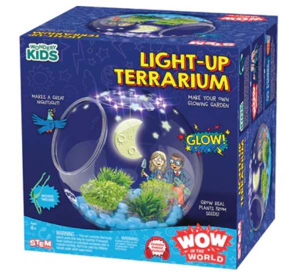25 Terrarium Light Up 249
