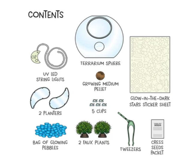 25 Terrarium Light Up 249