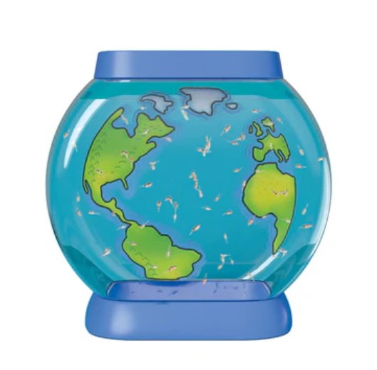 25 Sea Creatures Aquar247