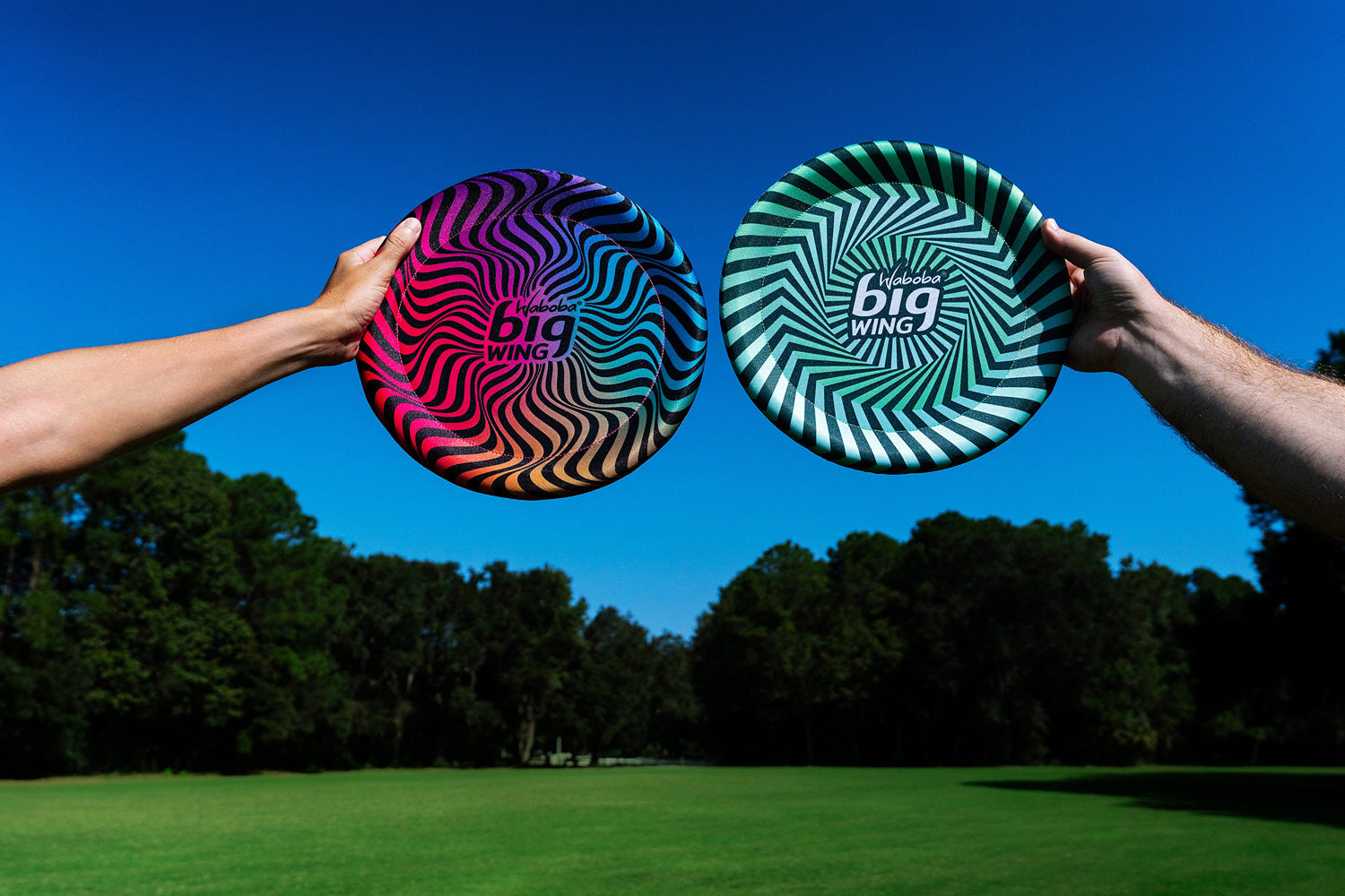 25 Big Wing Frisbee   241