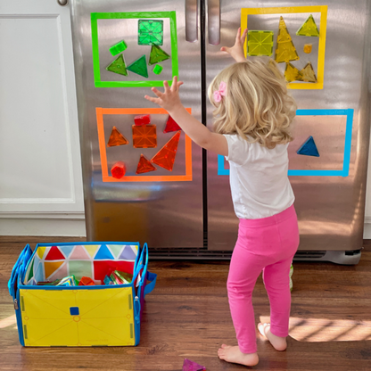 24 100pc Magnatiles   169
